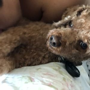 Meet your Posher, Hype beast